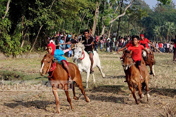 যেসব কারণে ঘোড়া এত দ্রুত ছুটতে পারে