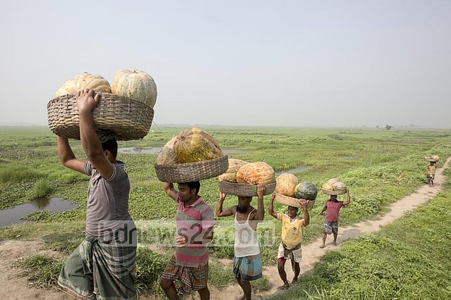 জনশুমারি: গ্রামে সাড়ে ১১ কোটি, শহরে ৫ কোটি