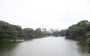 নিখোঁজ ফার্মাসিস্টের লাশ মিলল ধানমণ্ডি লেকে