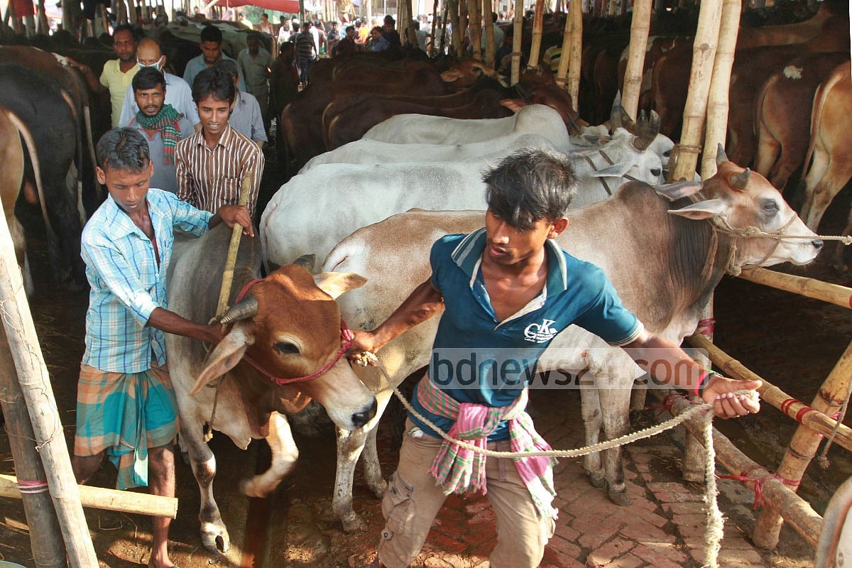 আফতাবনগরে পশুর হাট বন্ধে আইনি নোটিস