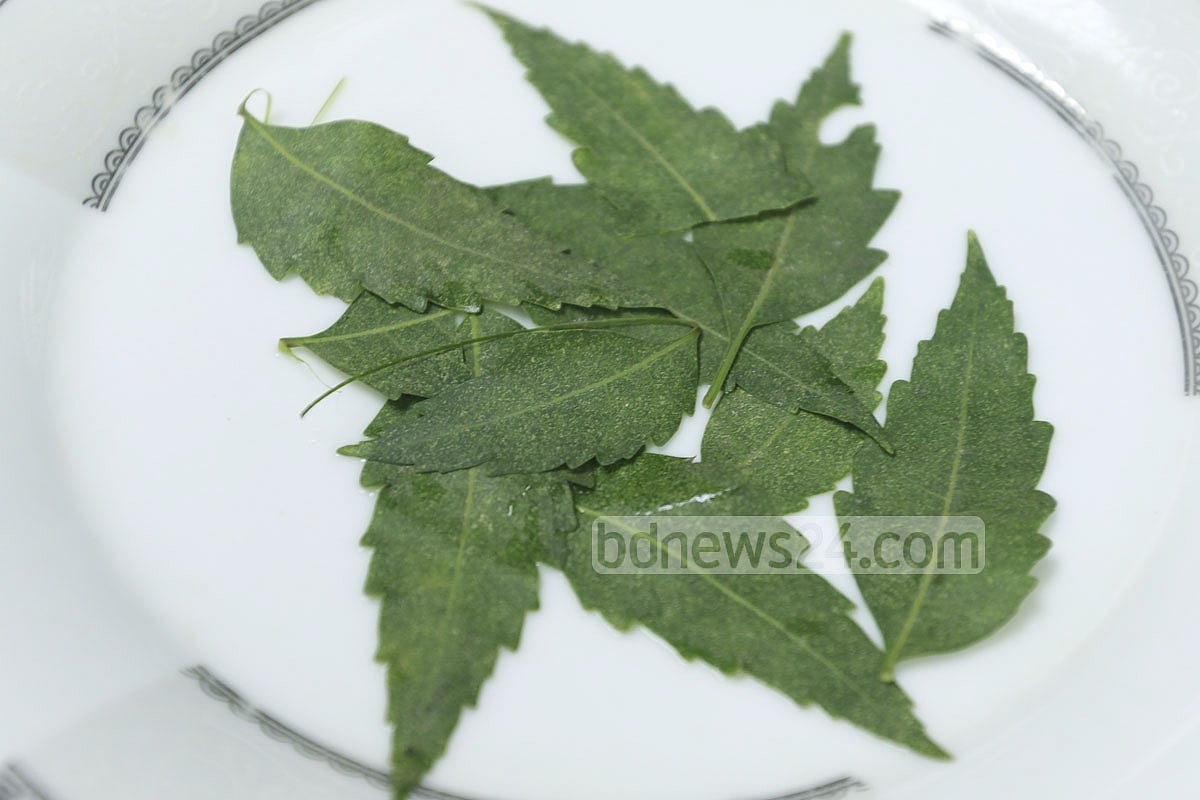 প্রাকৃতিকভাবে ত্বকের ক্ষতি সারানোর কৌশল