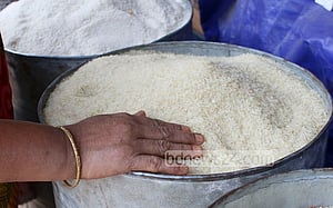 বাজার থেকে মিনিকেট চাল কি উঠে যাবে?