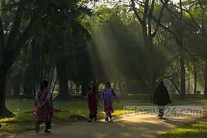 মানসিক স্বাস্থ্যের উন্নতিতে প্রকৃতির সাথে মিশে যাওয়ার পন্থা