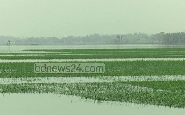 ACC starts probe into graft over Sunamganj embankments