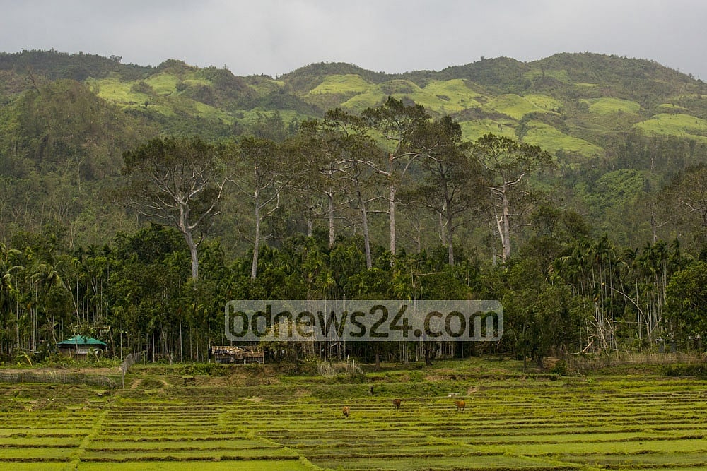 টেকনাফে ৫ কৃষক ‘অপহরণ’, ৩০ লাখ টাকা মুক্তিপণ দাবি