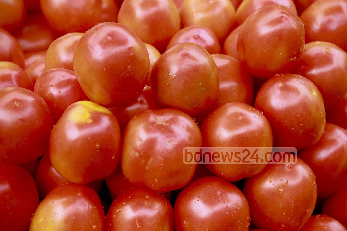 দীর্ঘদিন টমেটো সংরক্ষণের উপায়