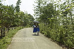স্কুলে যাওয়ার পথে কতটা নিরাপদ মেয়েরা?