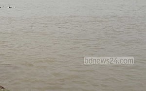 চাচার সঙ্গে মেঘনায় গোসলে নেমে ২ শিশুর মৃত্যু