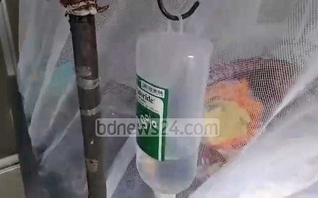 ডেঙ্গু ছড়িয়েছে ৬২ জেলায়