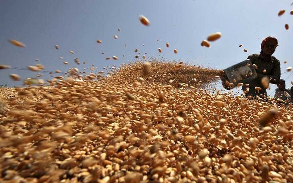 রাশিয়া থেকে ৫ লাখ টন গম কিনবে বাংলাদেশ