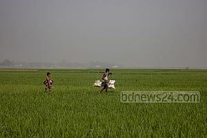 সব সারের দাম কেজিতে ৫ টাকা বাড়ল