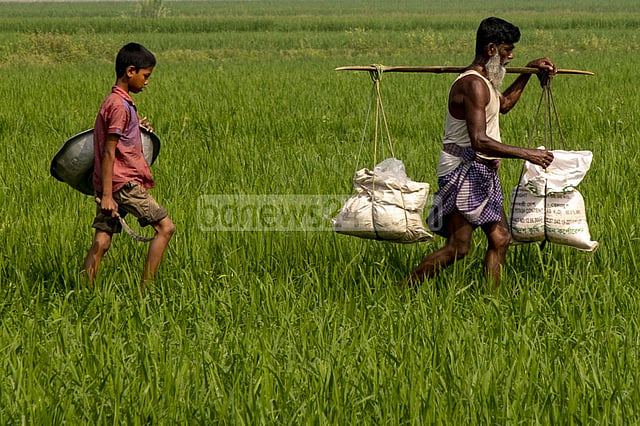 ‘কিছুটা সাশ্রয়ে’ এক লাখ টন সার কেনার অনুমোদন