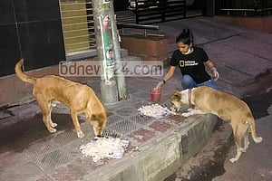 রাস্তার প্রাণীদের প্রতি সদয় হই