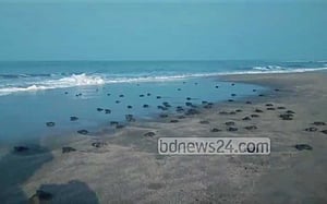 কেন ক্ষয়ে যাচ্ছে সেন্ট মার্টিন?