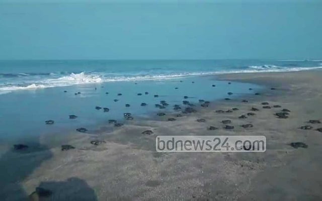 কেন ক্ষয়ে যাচ্ছে সেন্ট মার্টিন?