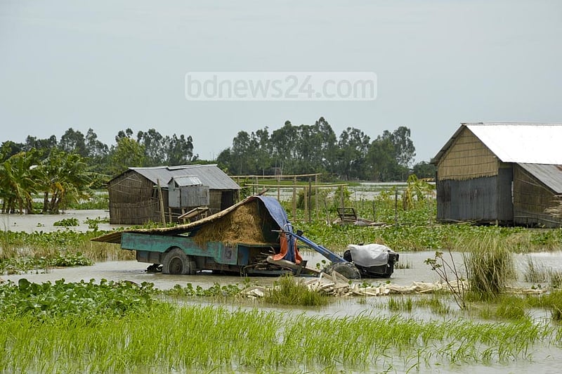 Floods submerged many houses on the Brahmangaon Char, a small island in Munshiganj’s Louhajang Upazila, leaving many residents marooned.
