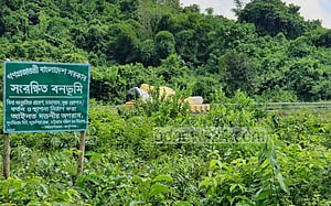 ২০৩০ সাল পর্যন্ত সংরক্ষিত বনাঞ্চলের গাছ কাটায় মানা, গেজেট প্রকাশ
