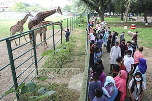 চিড়িয়াখানার প্রাণীকে খোঁচালে বা খাওয়ালেও শাস্তি: সংসদে বিল