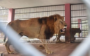 চট্টগ্রাম চিড়িয়াখানায় এল বাদশাহ-নোভার উত্তরসূরি