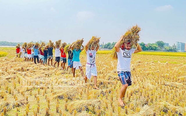ধান কেটে কৃষকের ঘরে পৌঁছে দিতে ছাত্রলীগের আহ্বান