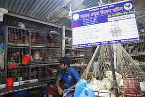 অস্বাভাবিক মূল্যবৃদ্ধি: কাজী ফার্মস ও সাগুনা ফিডকে ৮ কোটি টাকা জরিমানা