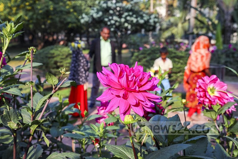 A sizeable crowd visited Dhaka’s Ramna Park on Saturday, Feb 05, 2022, after several months of coronavirus bans. Photo: Kazi Salahuddin Razu