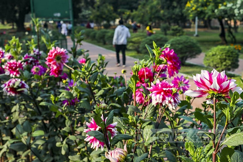 A sizeable crowd visited Dhaka’s Ramna Park on Saturday, Feb 05, 2022, after several months of coronavirus bans. Photo: Kazi Salahuddin Razu