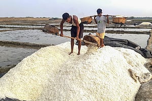 রেকর্ড উৎপাদনের পরও লবণের দাম বস্তাপ্রতি ‘১৫০ টাকা বেশি’