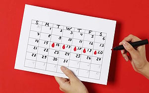 মাসিক ছুটির বিধান: উচ্চাভিলাষ নাকি প্রাপ্য?