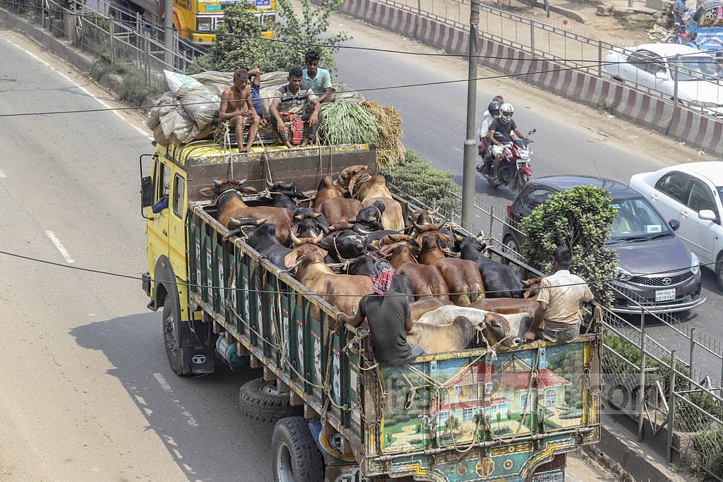 জোর করে হাটে থামানো যাবে না পশুবাহী যান: স্বরাষ্ট্রমন্ত্রী