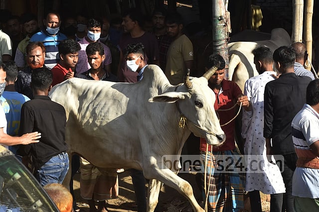 চাঁদ দেখা গেছে, বাংলাদেশে কোরবানির ঈদ ২৯ জুন