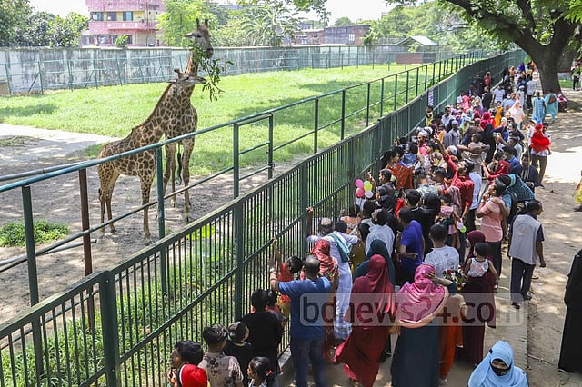 চিড়িয়াখানা ব্যবস্থাপনায় আইনে সায় মন্ত্রিসভার