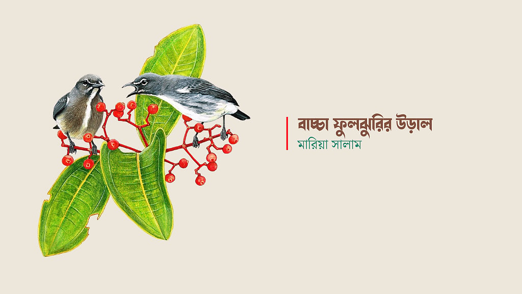 বাচ্চা ফুলঝুরির উড়াল