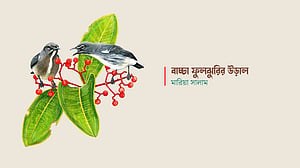 বাচ্চা ফুলঝুরির উড়াল