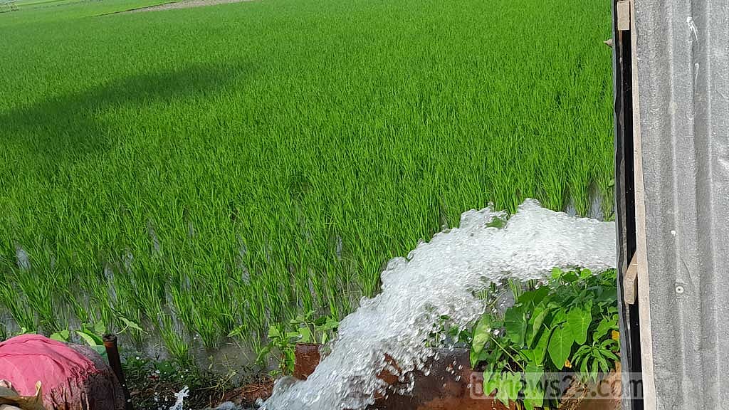 সেচ মৌসুমে এবার বিদ্যুতের চাহিদা হবে ১৬০০০ মেগাওয়াট: প্রতিমন্ত্রী