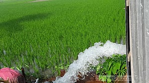সেচ মৌসুমে এবার বিদ্যুতের চাহিদা হবে ১৬০০০ মেগাওয়াট: প্রতিমন্ত্রী