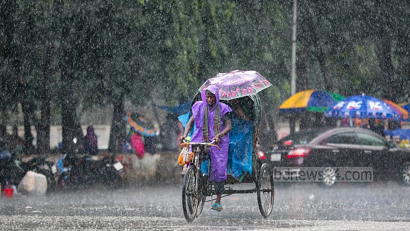 ঢাকা বিশ্ববিদ্যালয় এলাকায় সোমবার দুপুরে ঝুম বৃষ্টি থেকে বাঁচতে ছাতা মাথায় রিকশার যাত্রী। বৃষ্টি থেকে বাঁচতে রেইন কোট পরে রিকশা চালাচ্ছেন চালক। 