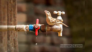 পানি দিবসের আয়োজন