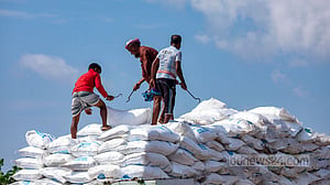 এক লাখ ৩০ হাজার টন সার আমদানির অনুমোদন