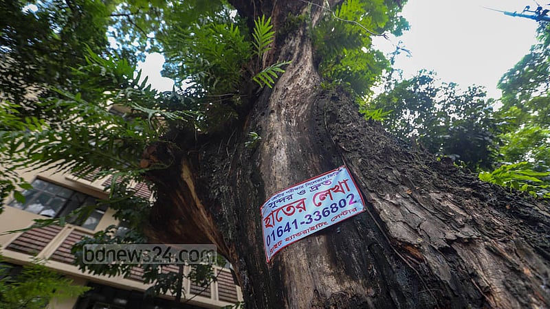 ঢাকা বিশ্ববিদ্যালয়ের পলাশী অংশে রয়েছে বেশ কয়েকটি শতবর্ষী গাছ, যাদের গায়ে পেরেক ঠুকে লাগানো হয়েছে বিজ্ঞাপন।