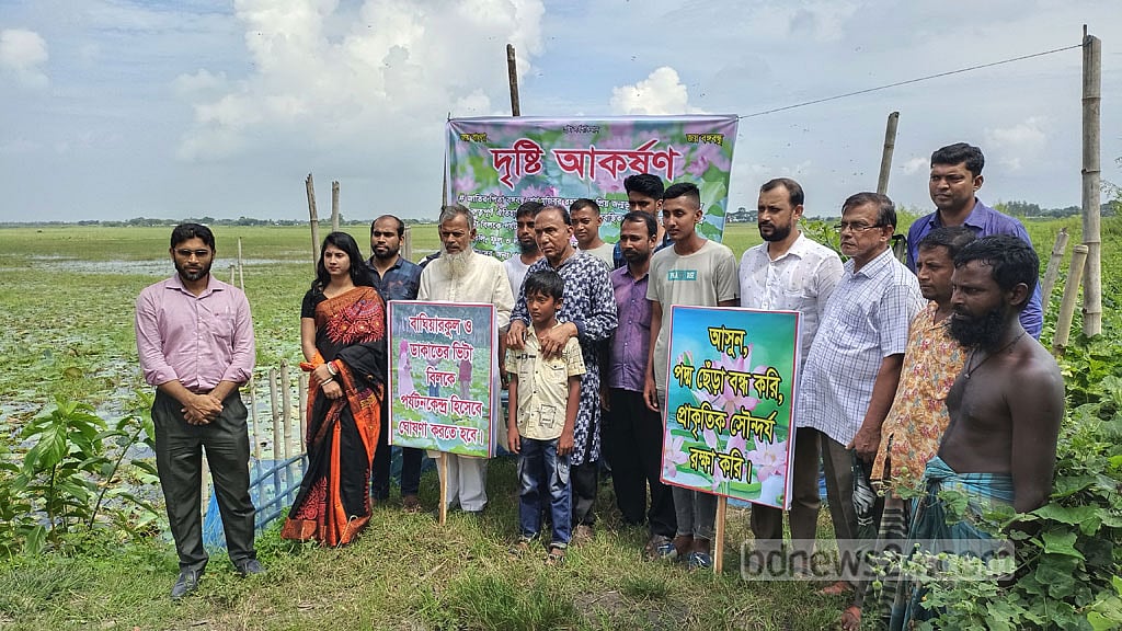 টুঙ্গিপাড়ার লাল শাপলা ও পদ্ম সংরক্ষণের দাবি