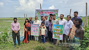 টুঙ্গিপাড়ার লাল শাপলা ও পদ্ম সংরক্ষণের দাবি