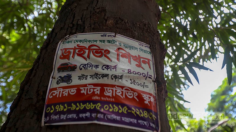 ঢাকা শহরের রাস্তার পাশে গাছে চোখ রাখলেই দেখা যায় নানা ধরনের বিজ্ঞাপন, যেসব আটকাতে গাছে পোঁতা হয় অসংখ্য পেরেক।