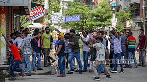 আমাদের রাজনীতি ও কুমিরের রচনা