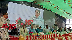 ‘আমলারা নিজেদের এমপি বাহারের চেয়েও বড় আওয়ামী লীগার মনে করেন’