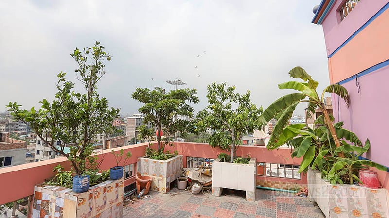 যাত্রাবাড়ীর একটি বাড়ির ছাদে লাগানো হয়েছে কলা, মাল্টাসহ বিভিন্ন প্রজাতির গাছ।