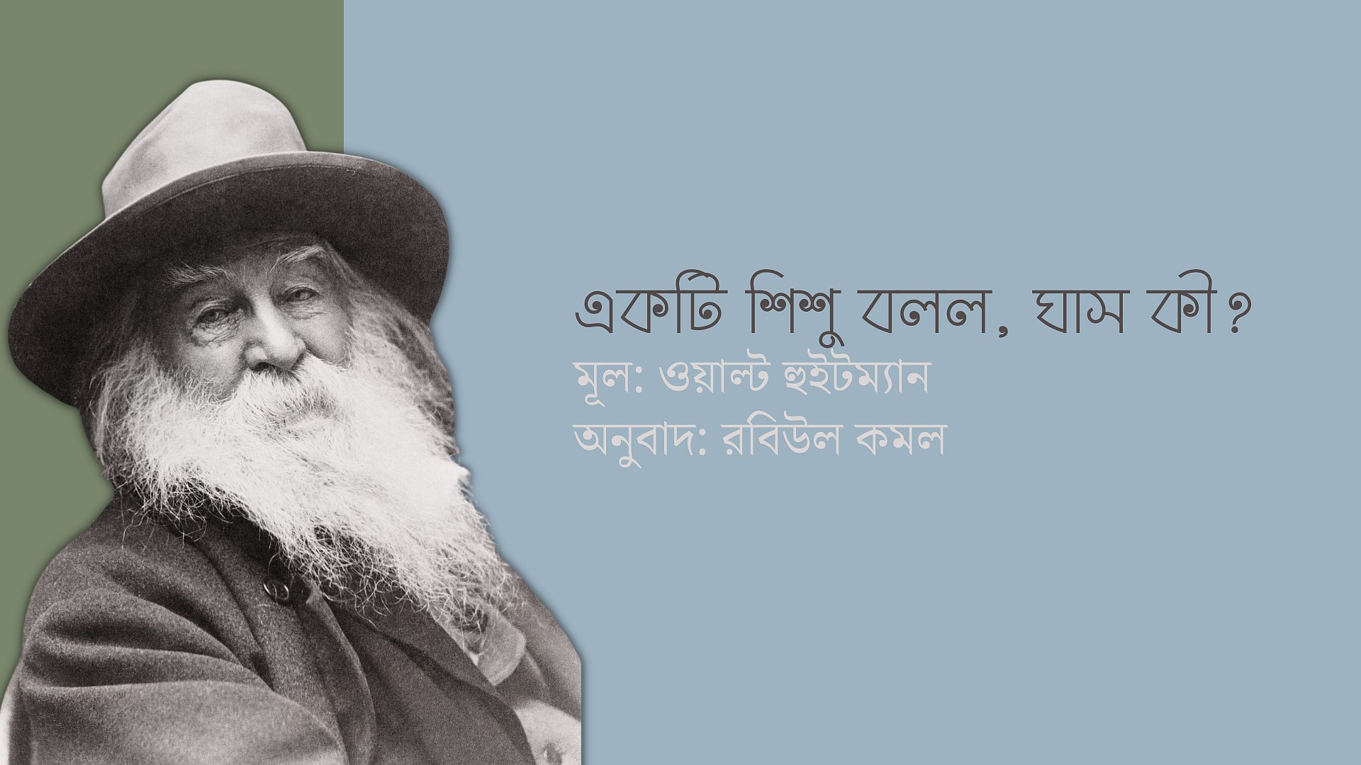একটি শিশু বলল, ঘাস কী?