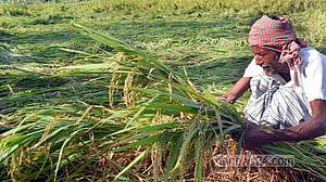 ঝড় গেছে, এবার ক্ষতির হিসাব