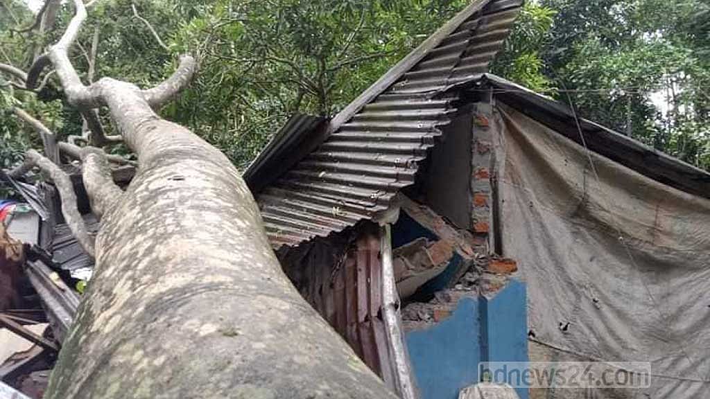সিত্রাংয়ের তাণ্ডবে মৃত্যু বেড়ে ২৯