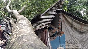 সিত্রাংয়ের তাণ্ডবে মৃত্যু বেড়ে ২৯